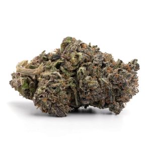 Animal Cookies