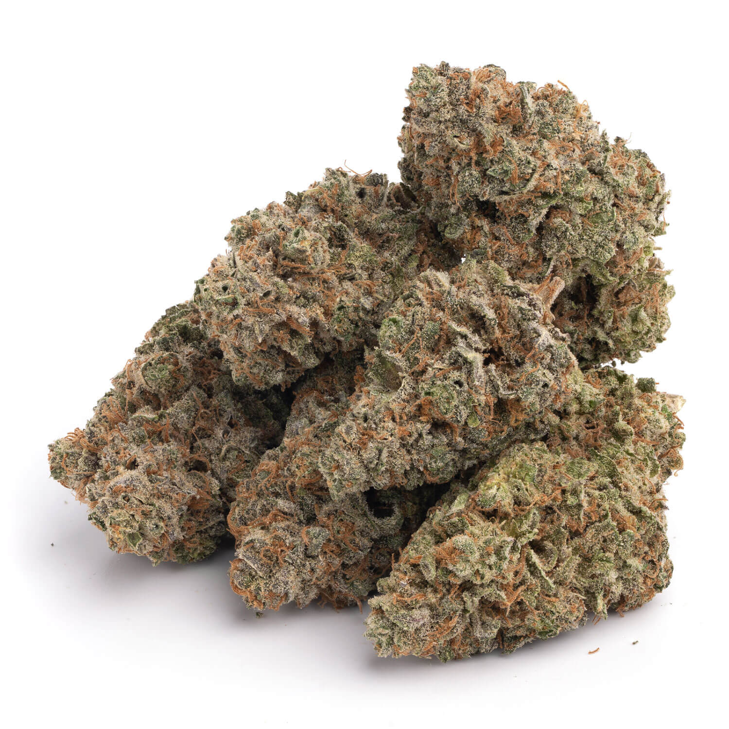Blueberry - Image 3