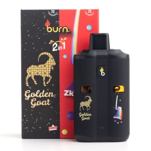4g Dual Chamber Disposable Vape (Burn)
