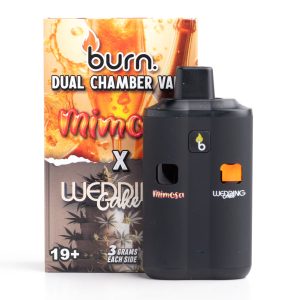 6g Dual Chamber Disposable Vape (Burn)