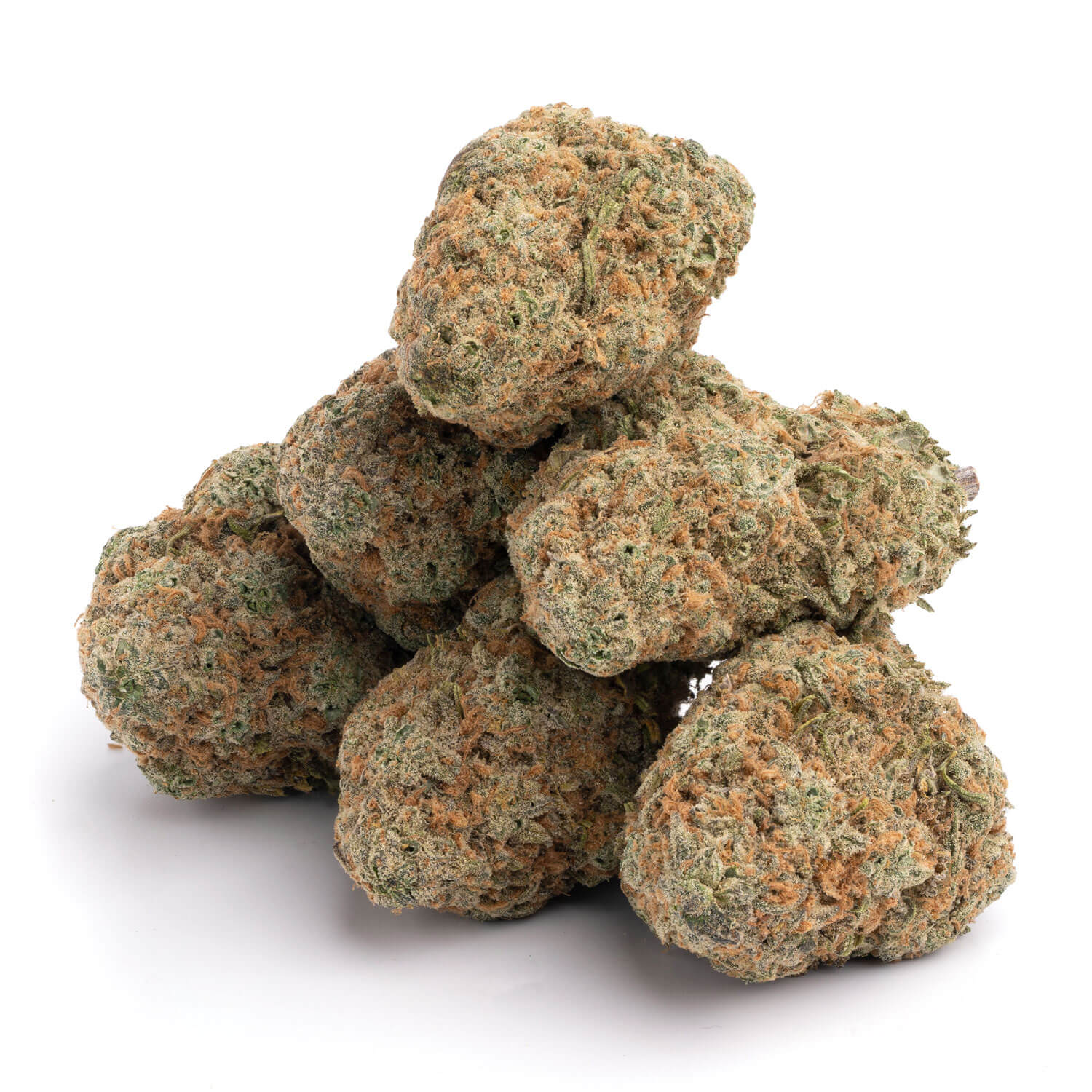 Chocolope - Image 3