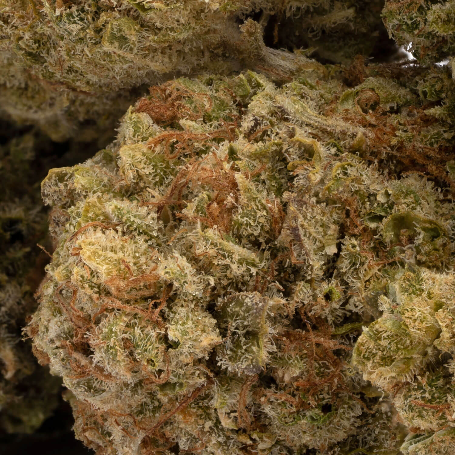 Emerald OG - Image 3