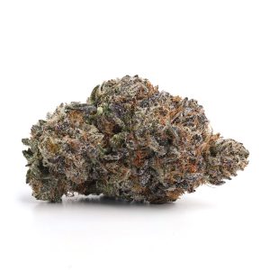 Gravity Cookies