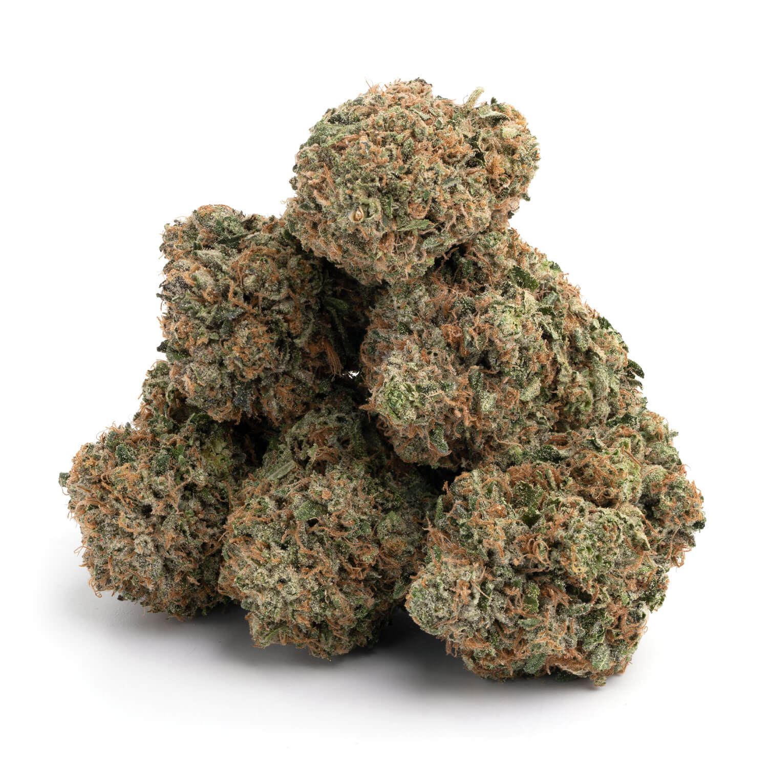 Grease Monkey - Image 3