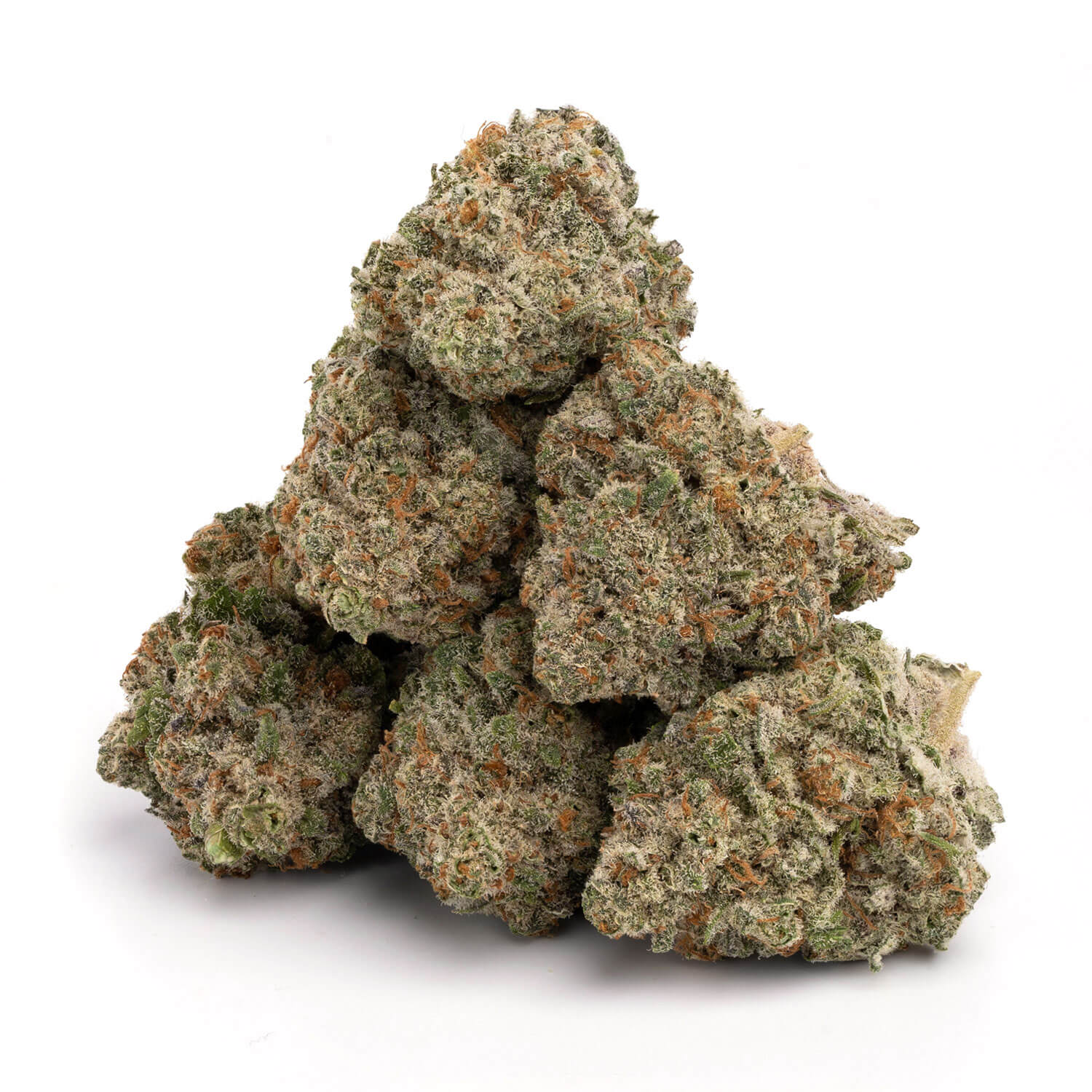 Jack Herer - Image 3