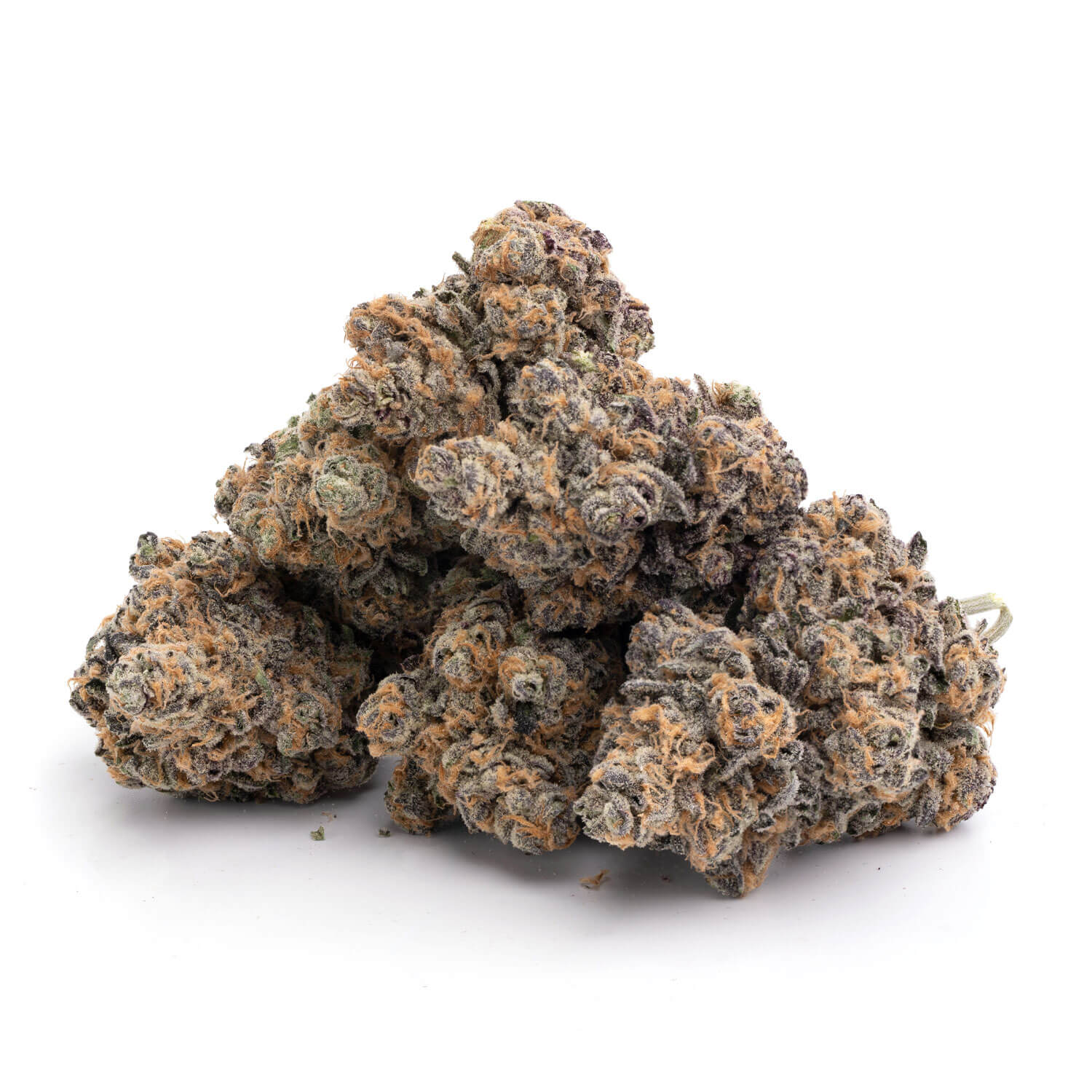 Jellybean - Image 3