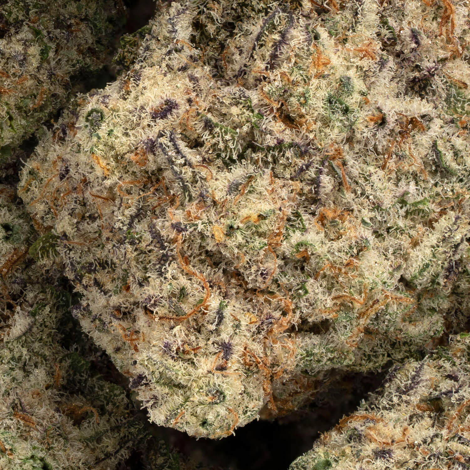 Kmac - Image 3