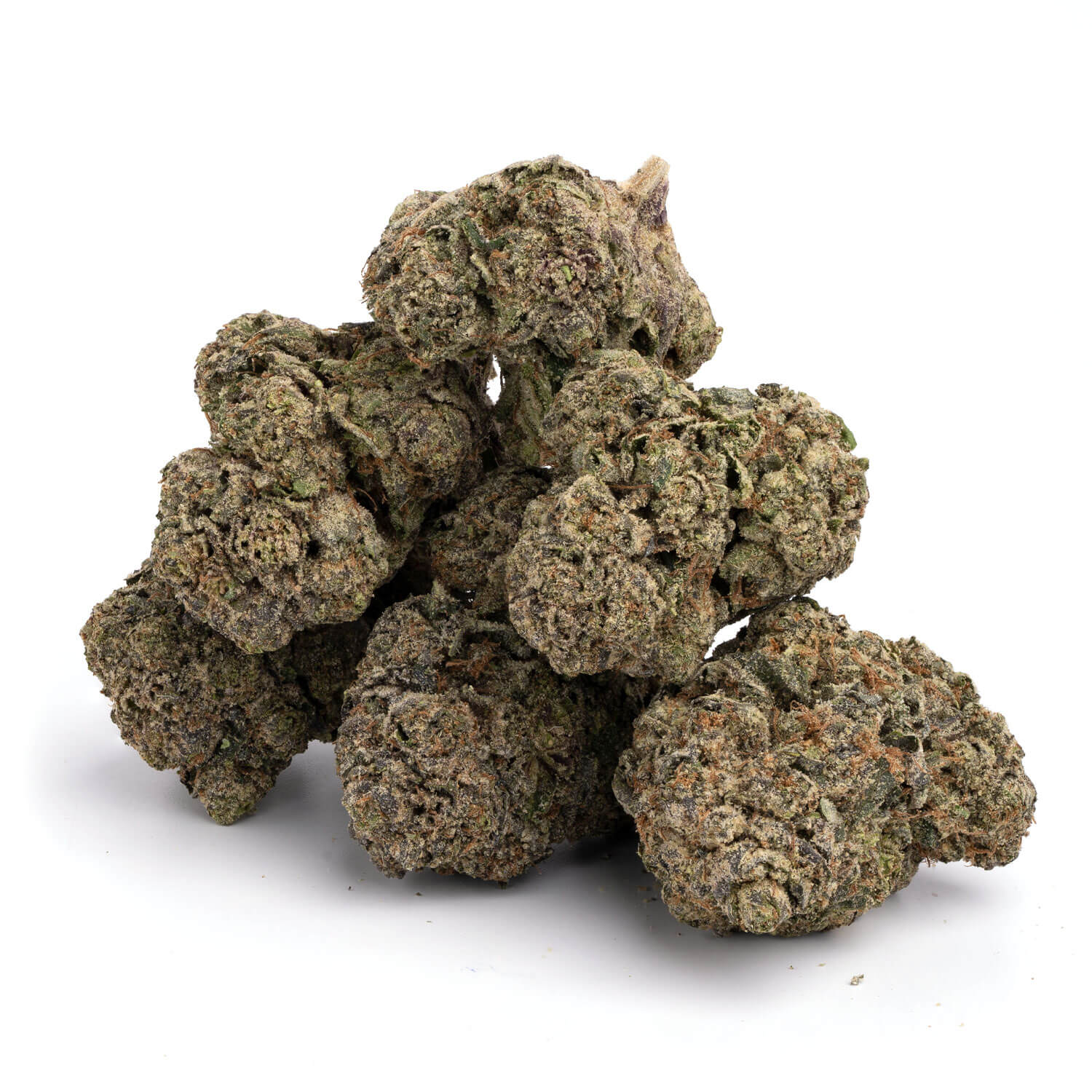 Konservative Kush - Image 3