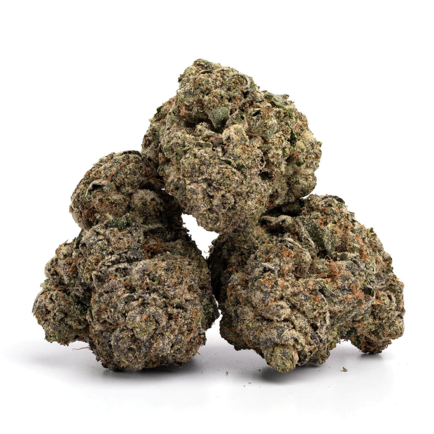Konservative Kush - Image 2