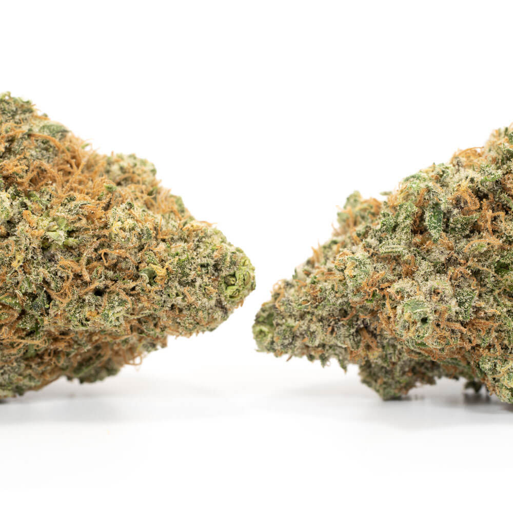 Mango Sapphire - Image 2