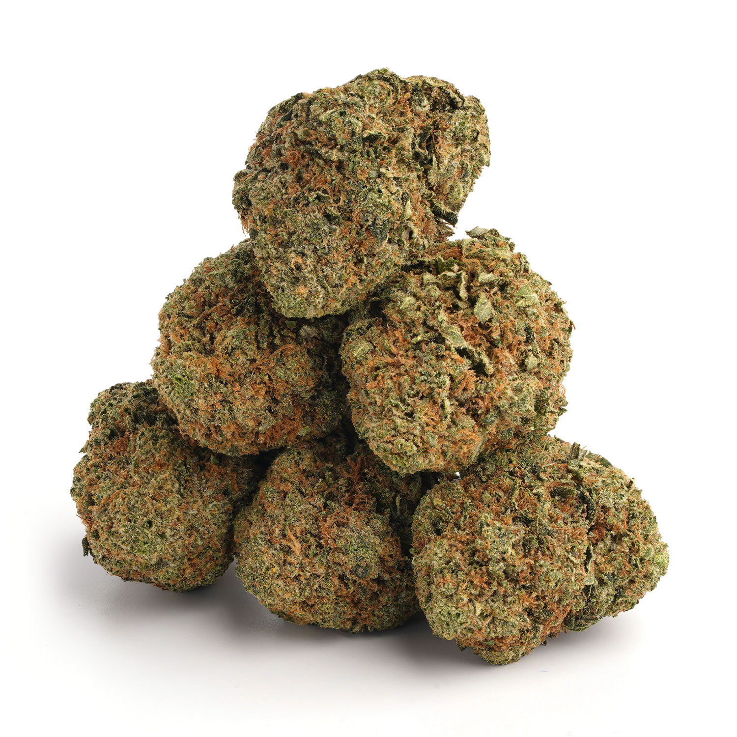 Master Kush - Image 3