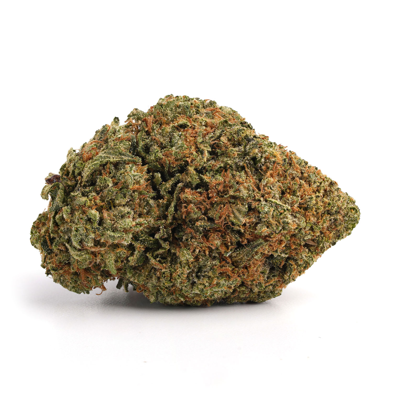 Master Kush