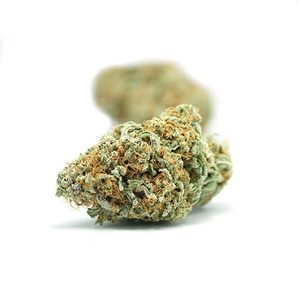 Money Maker - Image 2