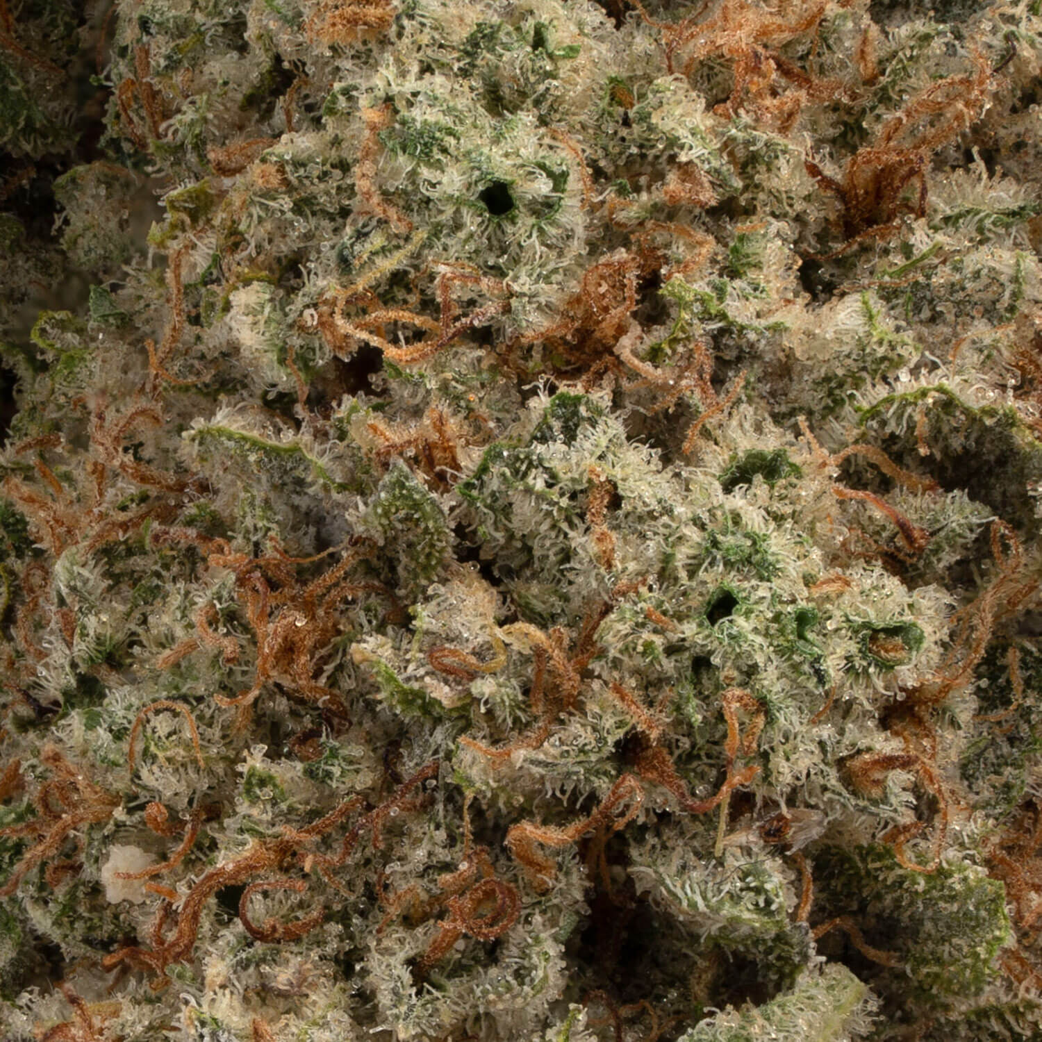 Organic Frosted Fruitcakes - Image 2