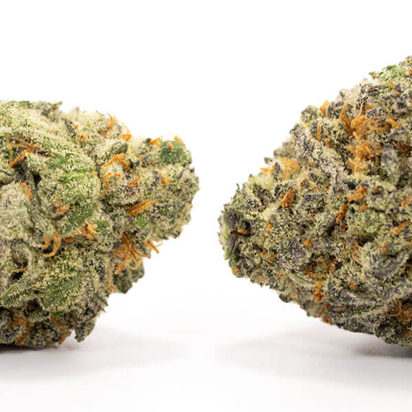 Purple Wreck - Image 3