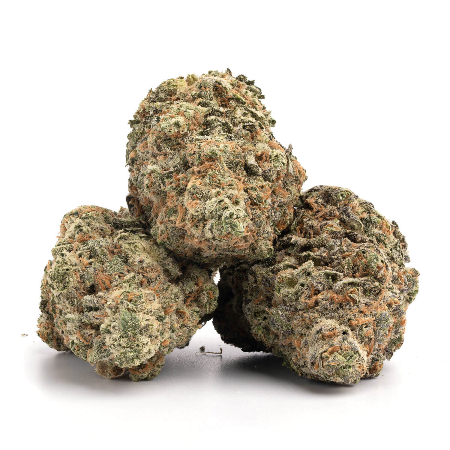 Rainbow Sherbert - Image 2