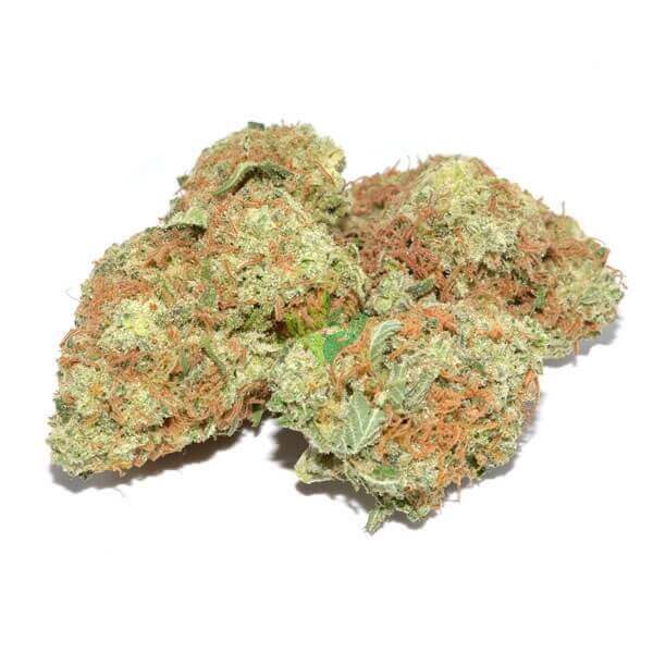 Sugar Shack - Image 2