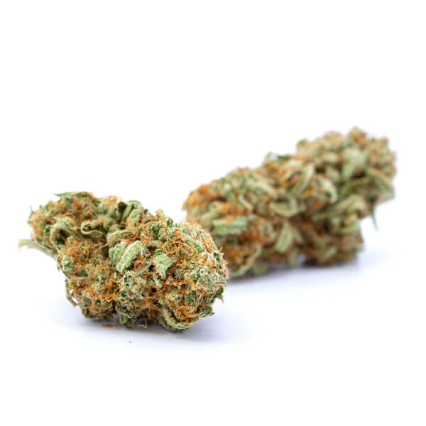 White Lavender - Image 2